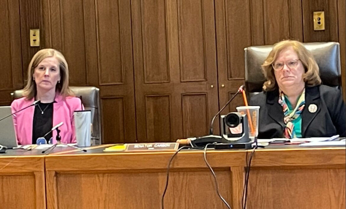 Senate judiciary panel hears two abortion bills News, Sports, Jobs